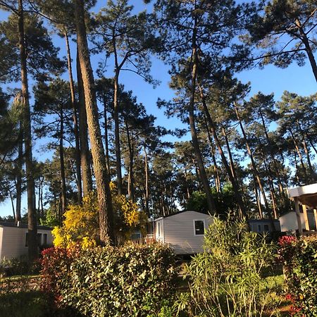 Mobile Home - Les Dunes De Contis Сен-Жюльен-ан-Борн Экстерьер фото