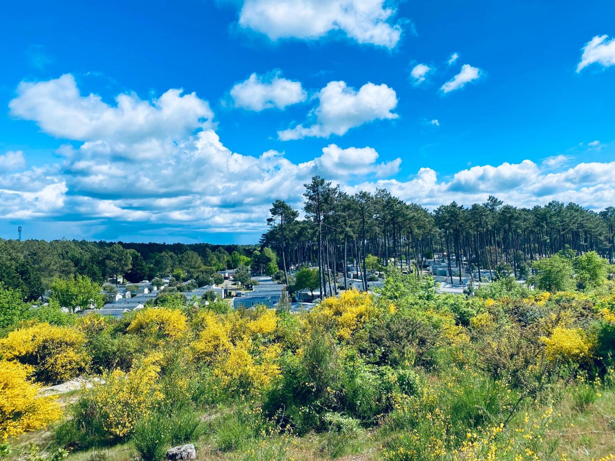Mobile Home - Les Dunes De Contis Сен-Жюльен-ан-Борн Экстерьер фото